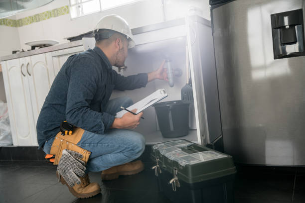 Best Local Plumber Services  in Whiteville, TN