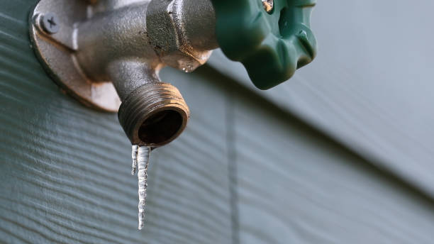 Best Drain Cleaning Services  in Whiteville, TN